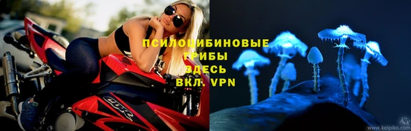 MDMA Premium VHQ Ессентукская
