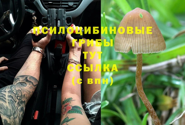 MDMA Premium VHQ Ессентукская