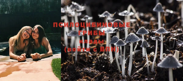 MDMA Premium VHQ Ессентукская