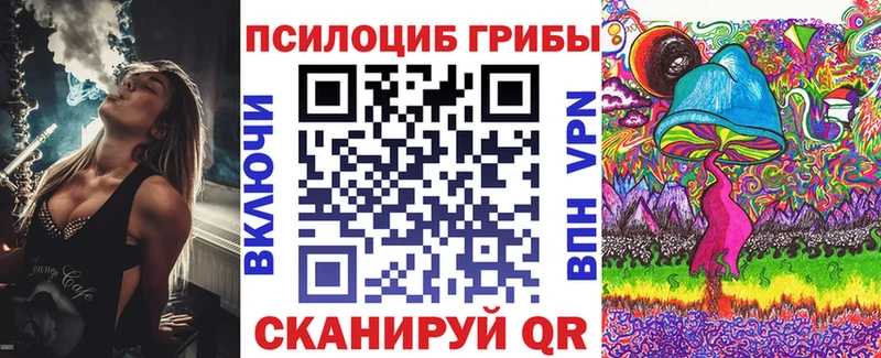Псилоцибиновые грибы Psilocybine cubensis  Александров 