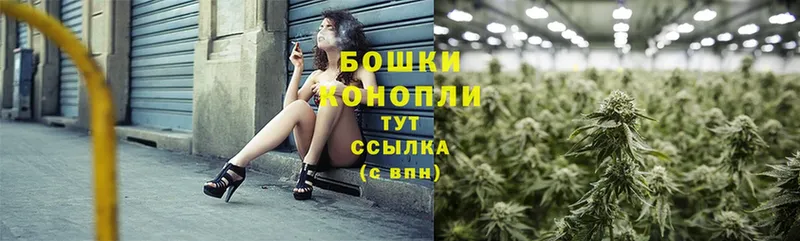 МАРИХУАНА ГИДРОПОН  MEGA сайт  Александров  цена  
